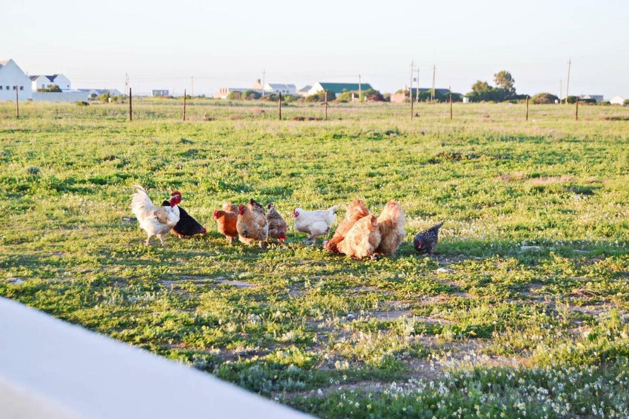 Holiday home Aintree Farm Langebaan